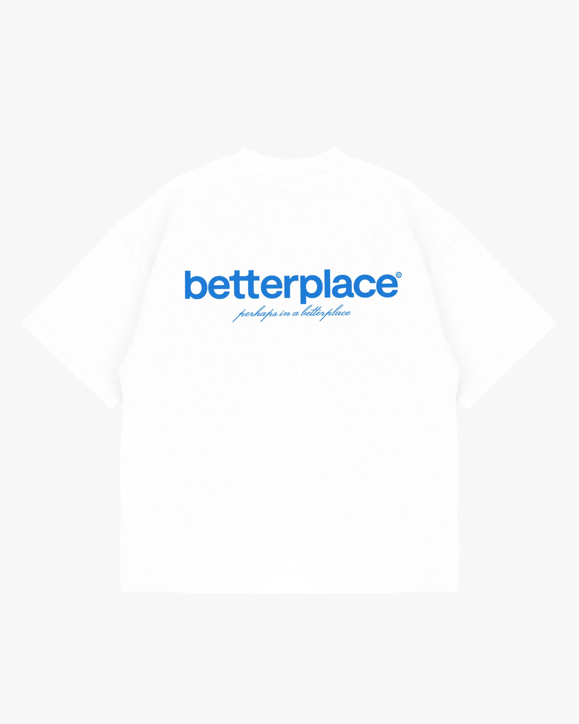 oversized tee - white/blue