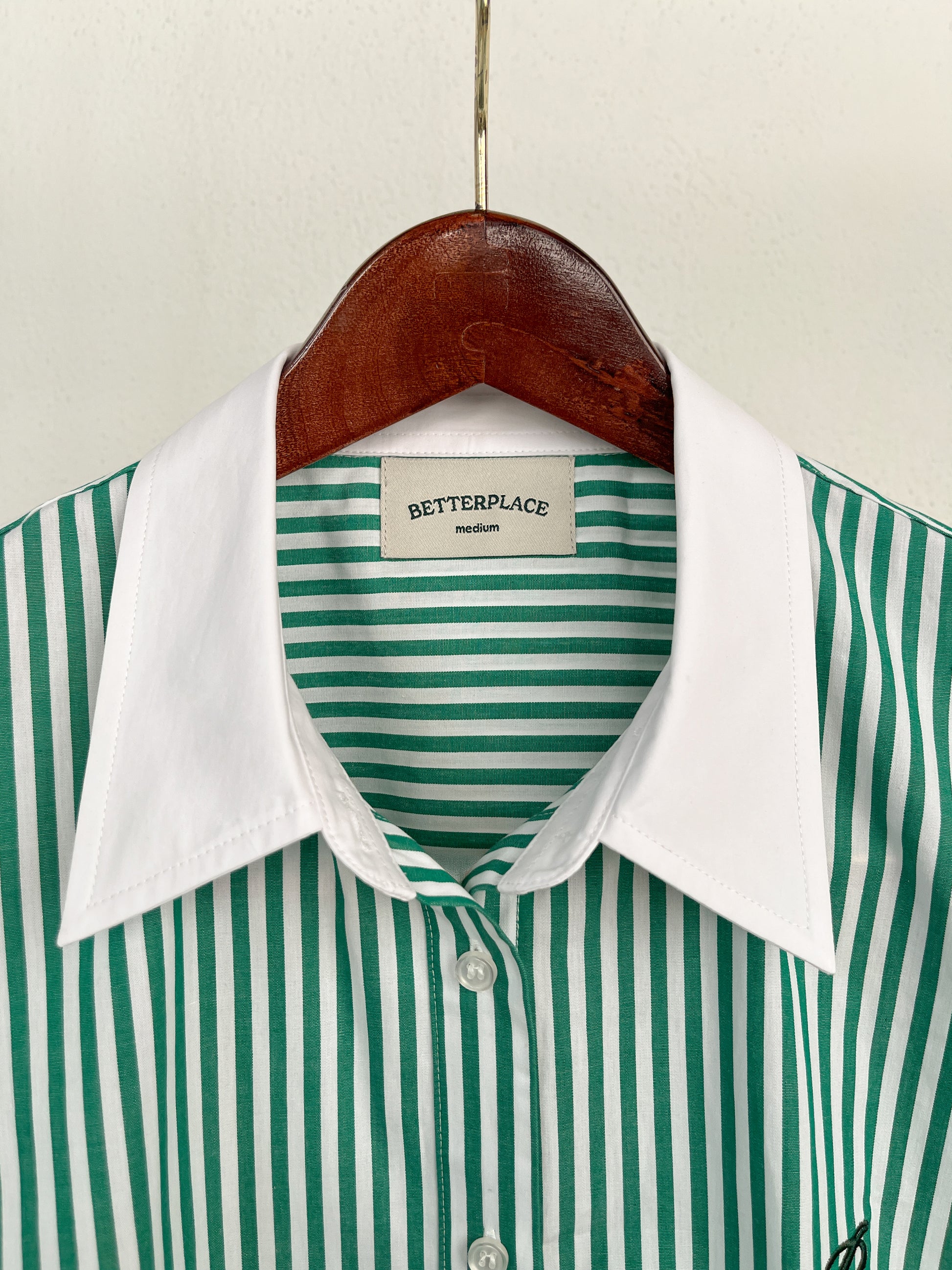 poplin shirt - striped/green