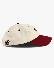 oval patch cap - two tone